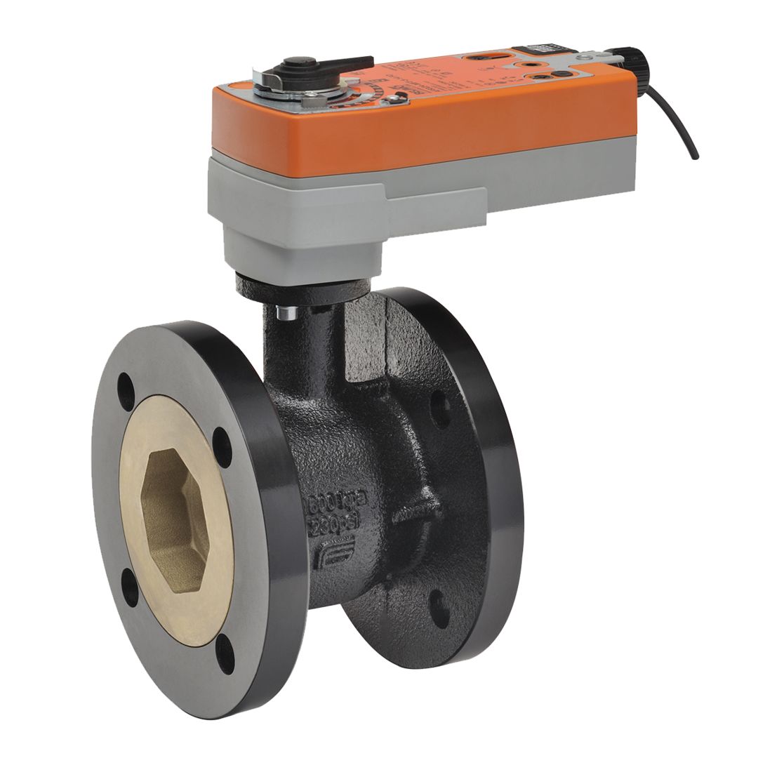 Belimo CCV 3" 2-way Cv110 AF Actuator Spring-return 24V MFT/Program