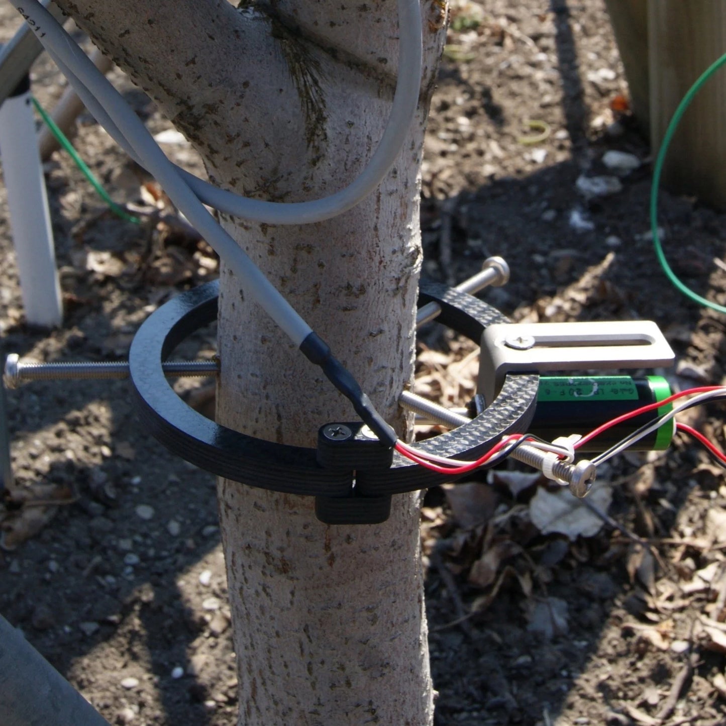 DecentLab Dendrometer Tree Growth Measurement T/O Shape LoRaWAN