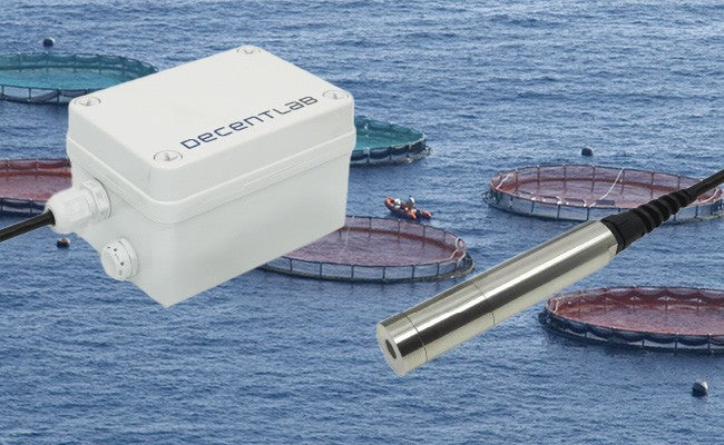 DecentLab Dissolved Oxygen Sensor Optical LoRaWAN 1% Accuracy C Battery