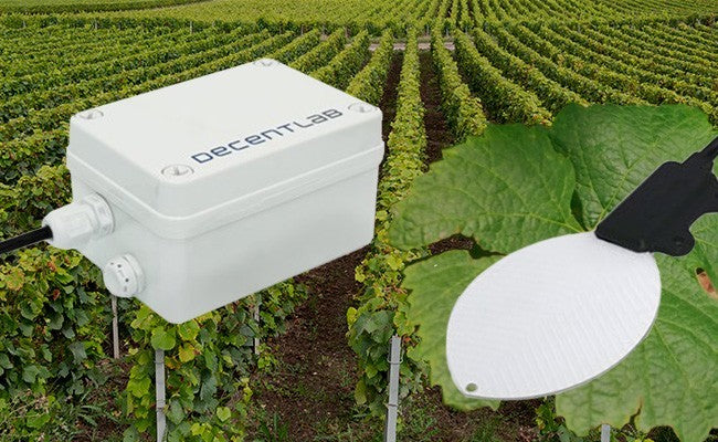 DecentLab Leaf Wetness Sensor Smart Agriculture LoRaWAN C-size Battery